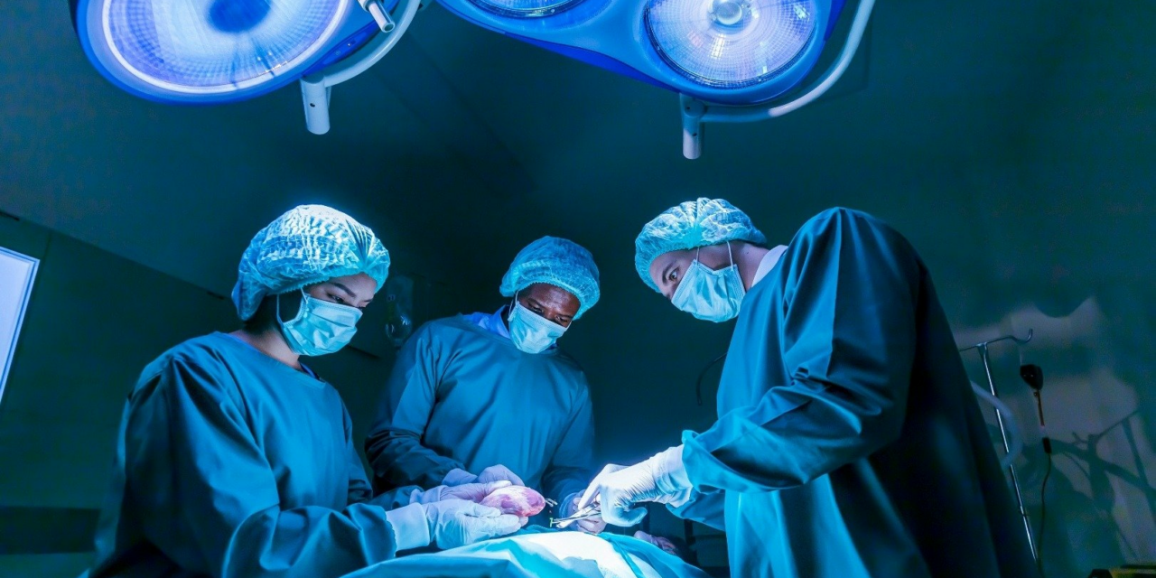 푸틴과 시진핑, 수명 연장 논의 엿듣고 세계적 화제